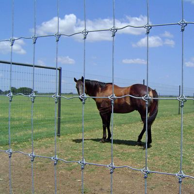Barrière fixe Galvanized Stainless Steel de champ de noeud de ferme de chèvre