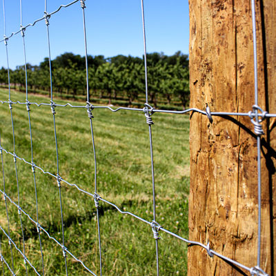 Chaud fixe à haute résistance de Grassland Deer Farm de barrière de noeud plongé galvanisé