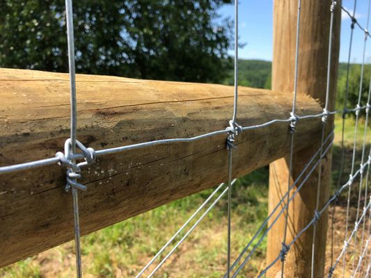 Barrière fixe de champ de grillage de bétail de joint de charnière de la clôture 1.2m de noeud de cerfs communs